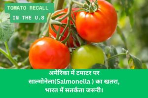 Tomato Recall
