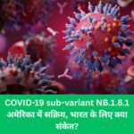 COVID-19 sub-variant NB.1.8.1