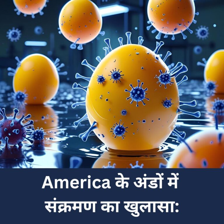 Salmonella in Eeggs: America के अंडों में संक्रमण का खुलासा: क्या भारत में भी सावधानी जरूरी है?