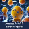 Salmonella in Eeggs: America के अंडों में संक्रमण का खुलासा: क्या भारत में भी सावधानी जरूरी है?